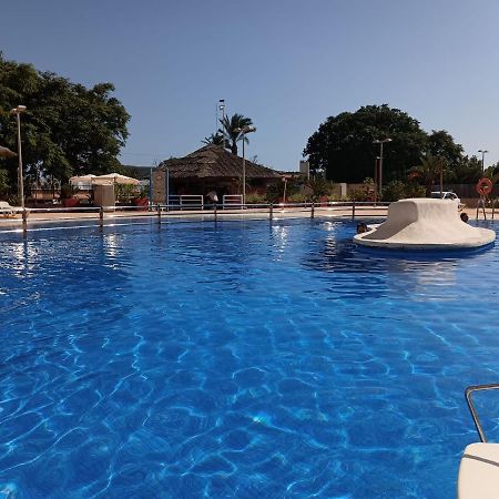 Sunny Place. Guardamar del Segura Dış mekan fotoğraf